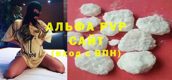 индика Балабаново