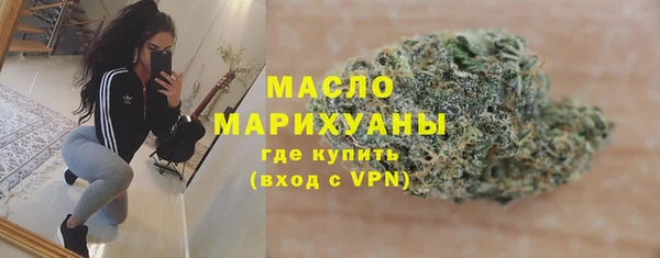 индика Балабаново