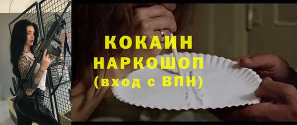 индика Балабаново