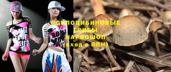 прущие крисы Балахна