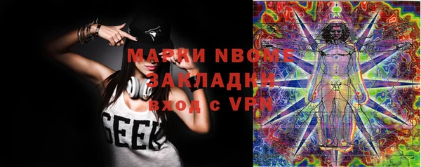 индика Балабаново