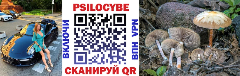 что такое наркотик  кракен как войти  Псилоцибиновые грибы ЛСД  Чекалин 