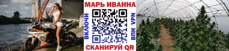 Бошки Шишки планчик  магазин продажи   Чекалин 
